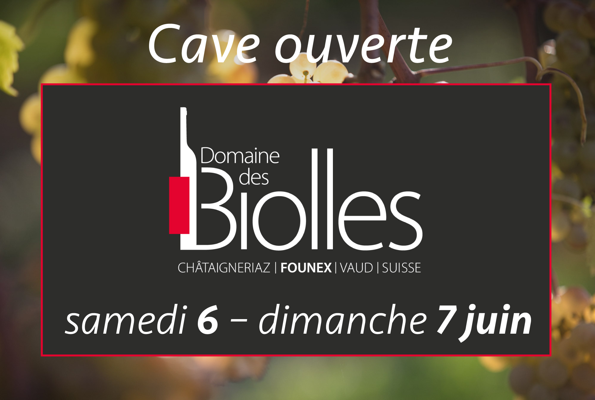 Vin Founex Biolles Cave ouverte